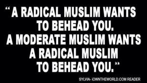 Modeate Muslim